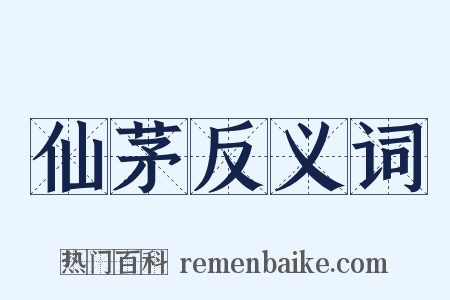 仙茅反义词是什么意思的图片